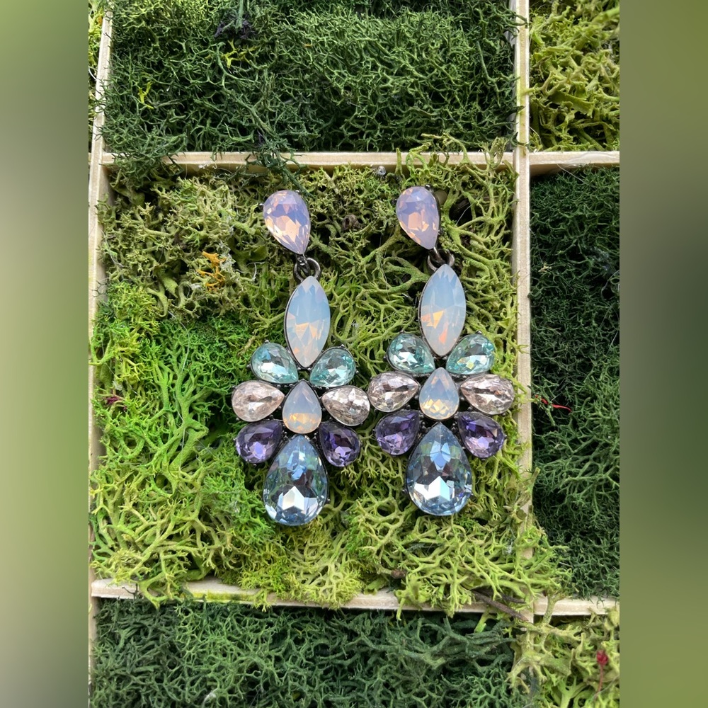 DSW Earrings